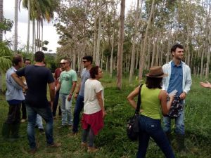 2018 - Visita Técnica - Agroecologia