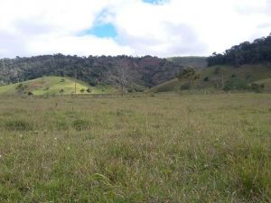 visita_tecnica_alto_capim01