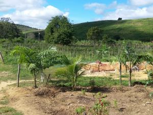 visita_tecnica_alto_capim05