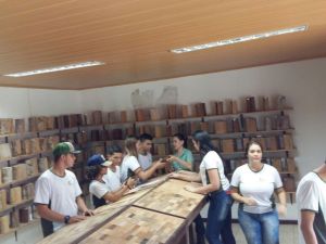 visita_tecnica_vale1